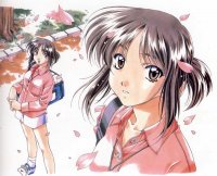 BUY NEW sentimental graffiti - 2445 Premium Anime Print Poster